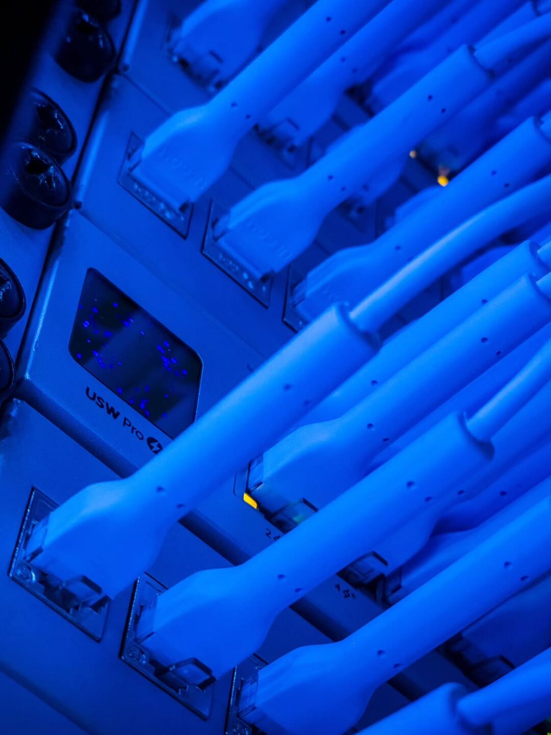 Close-up of patch leads in a UniFi switch